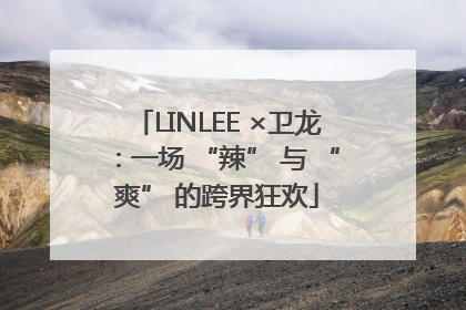 LINLEE ×卫龙：一场 “辣” 与 “爽” 的跨界狂欢