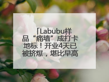 Labubu样品“痛墙”成打卡地标！开业4天已被挤爆，堪比早高峰菜市场