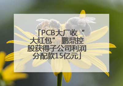 PCB大厂收“大红包” 鹏鼎控股获得子公司利润分配款15亿元